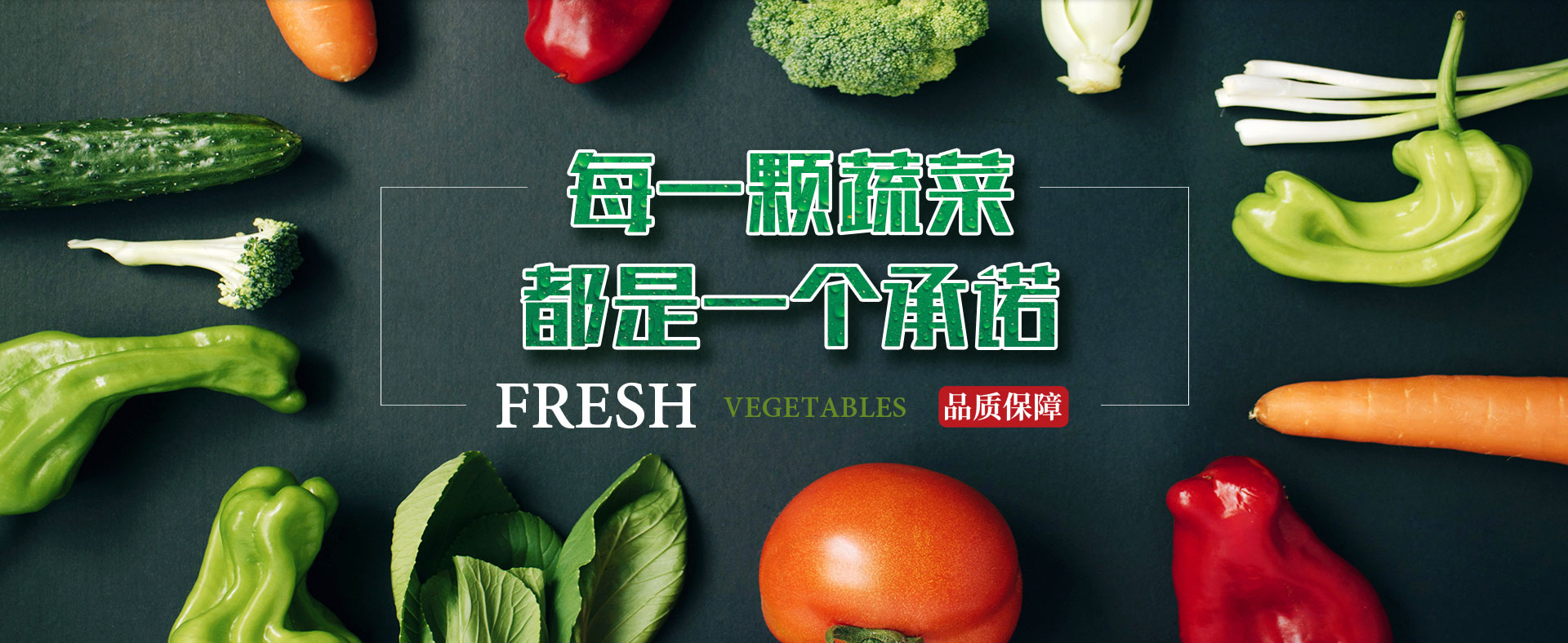 合序重慶生鮮蔬菜批發 泽库县地址7OO和第息贰