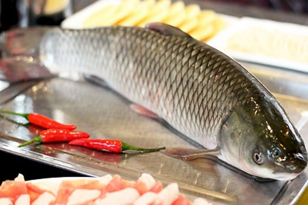 魚肉