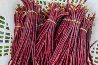 企事(shì)業單位食堂放心托付(fù)，合(hé)序重慶食材配送篩(shāi)選標準嚴苛(kē)